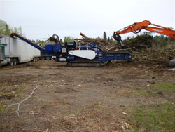 Bush Being Grinded At The Former Dragon Lot Near The Trail Head Parking On Route 1
